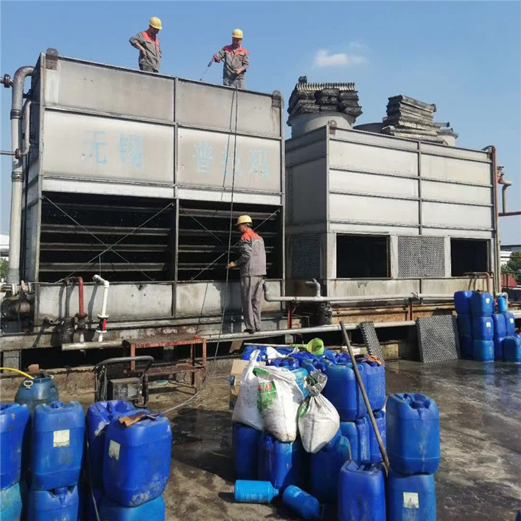 蒸發冷香蕉视频APP黄色4_副本